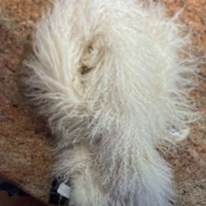 Natural Curly Lamb Scarf